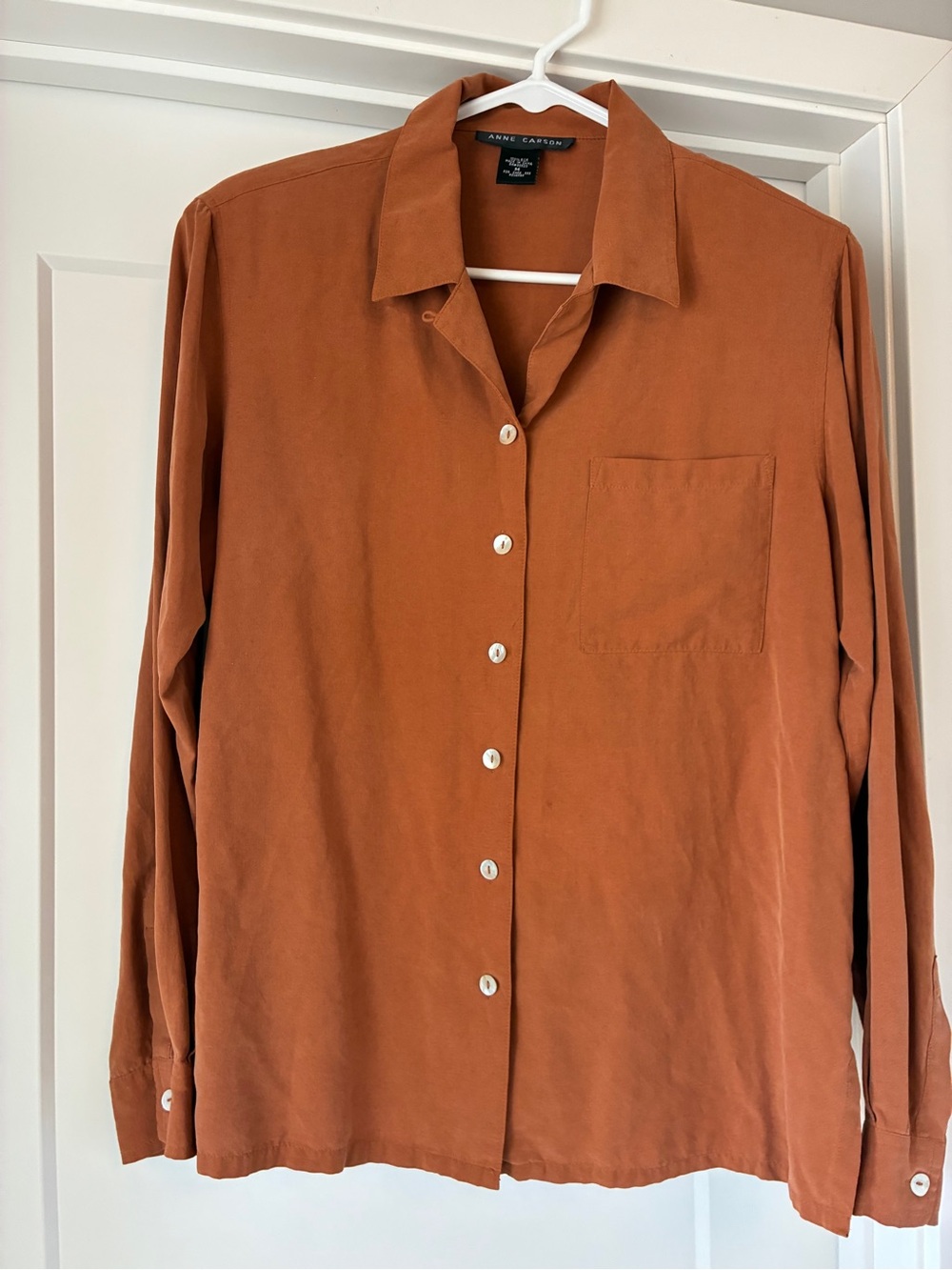 Anne Carson Silk Button Down Shirt